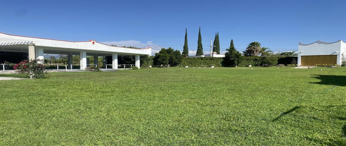 Foto de rancho en renta en francia 15, solares de tenextepec, atlixco, puebla, 28307910 No. 04