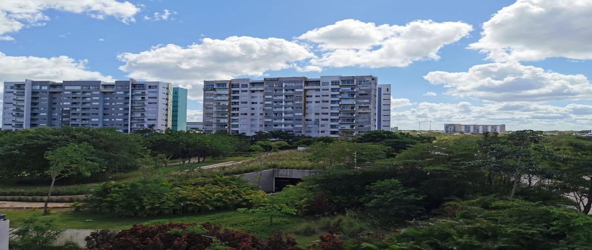 Foto de oficina en venta en  , francisco de montejo, mérida, yucatán, 24842208 No. 05