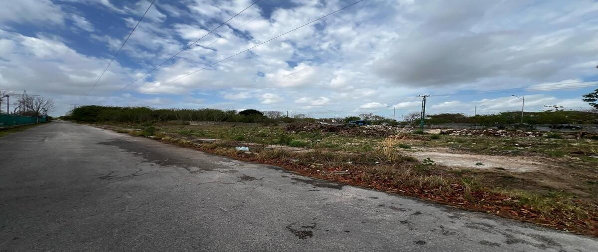 Foto de terreno habitacional en renta en  , francisco de montejo, mérida, yucatán, 29240465 No. 05