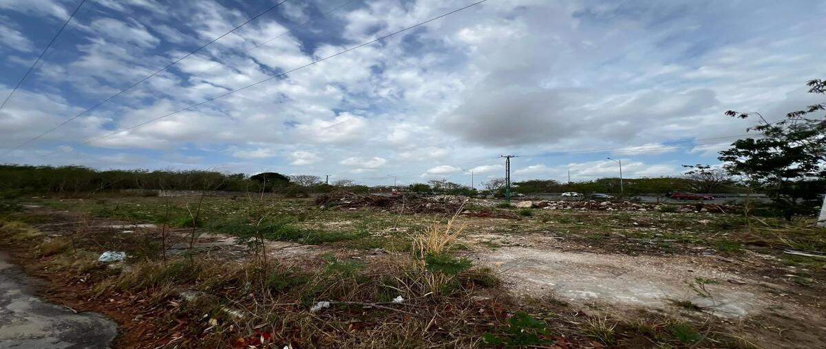 Foto de terreno comercial en renta en  , francisco de montejo, mérida, yucatán, 30603362 No. 07