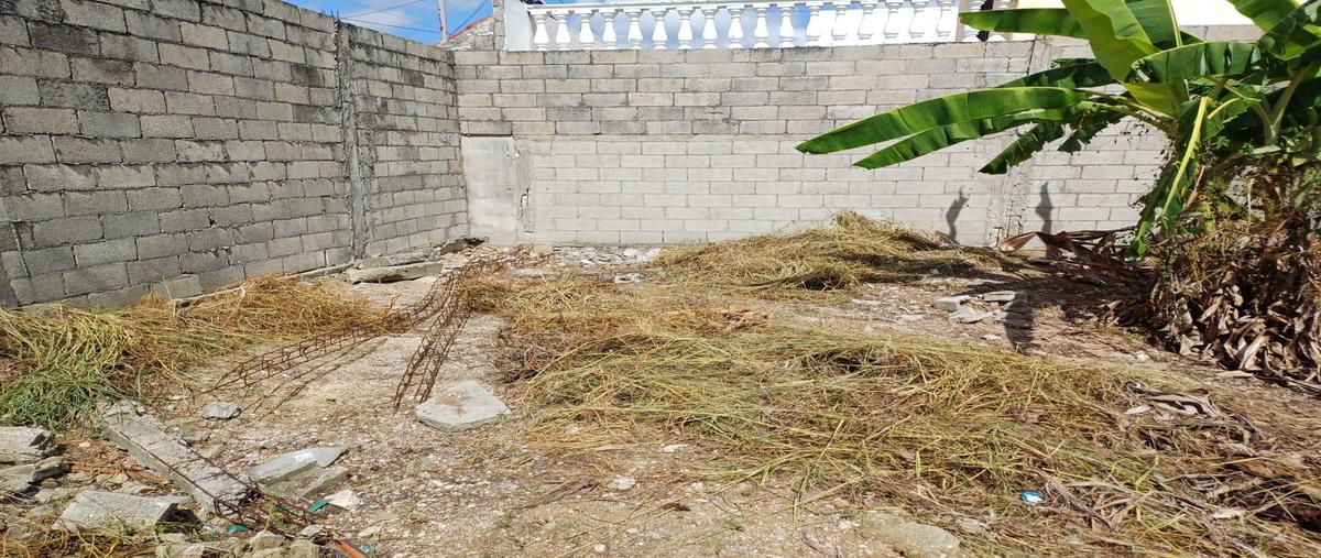 Foto de terreno habitacional en renta en  , francisco de montejo, mérida, yucatán, 31426921 No. 04