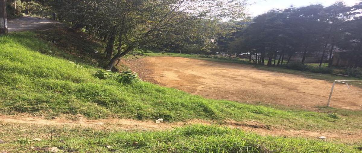 Foto de terreno habitacional en , francisco ferrer guardia, xalapa, veracruz de ignacio de la llave, 6697783 foto 01 Foto de terreno habitacional en venta en , francisco ferrer guardia, xalapa, veracruz de ignacio de la llave, 6697783 No. 01
