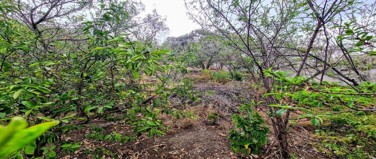 Foto de terreno habitacional en venta en francisco gonzález bocanegra 1, san antonio, san cristóbal de las casas, chiapas, 0 No. 04