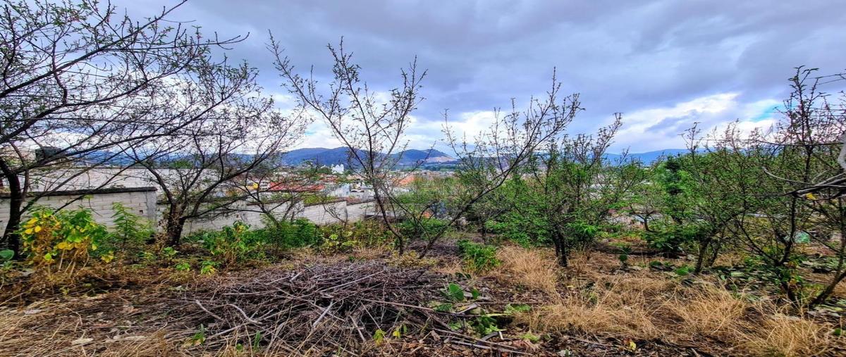 Foto de terreno habitacional en venta en francisco gonzález bocanegra 1, san antonio, san cristóbal de las casas, chiapas, 0 No. 05