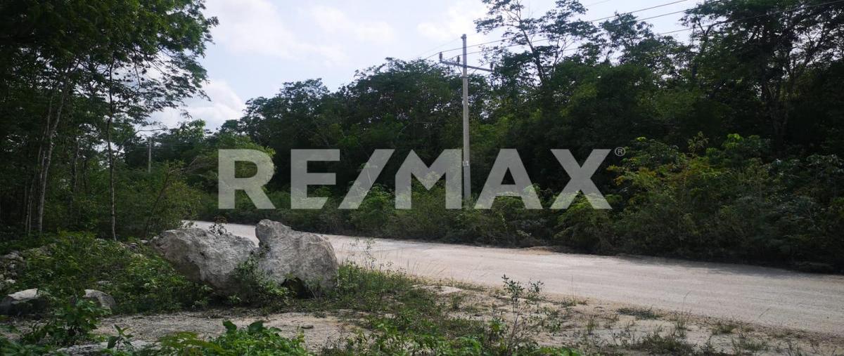 Foto de terreno habitacional en venta en francisco hu may , tulum centro, tulum, quintana roo, 0 No. 04