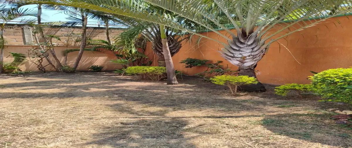 Foto de departamento en renta en francisco i madero 0, san isidro, jiutepec, morelos, 30137966 No. 03