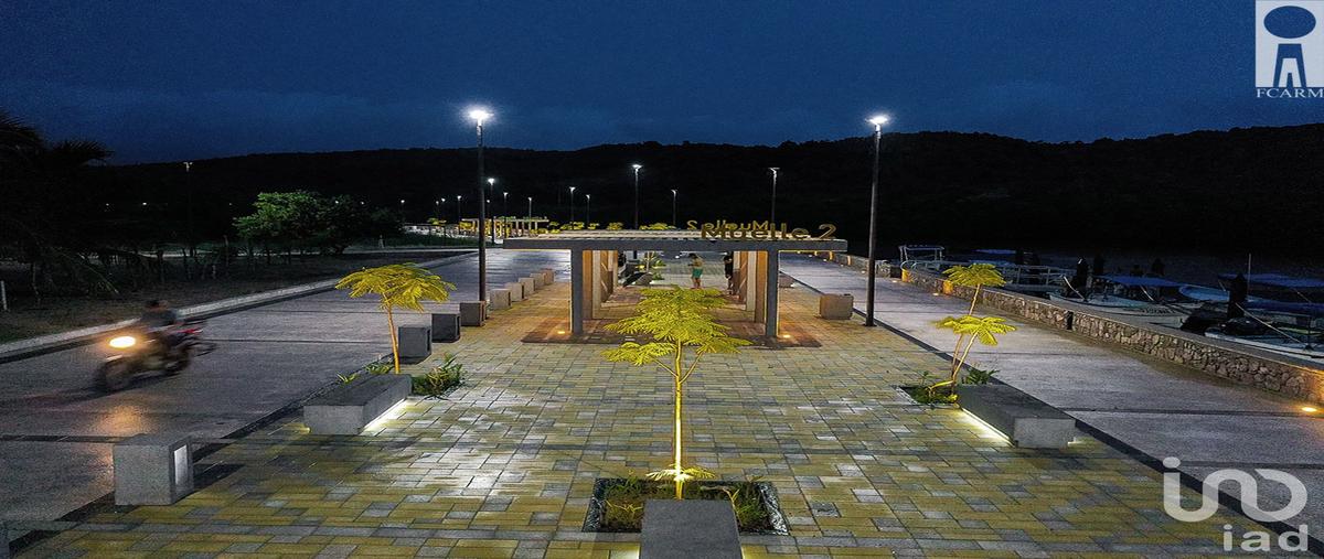 Foto de terreno comercial en venta en francisco i. madero 48965, pérula, la huerta, jalisco, 30305597 No. 04