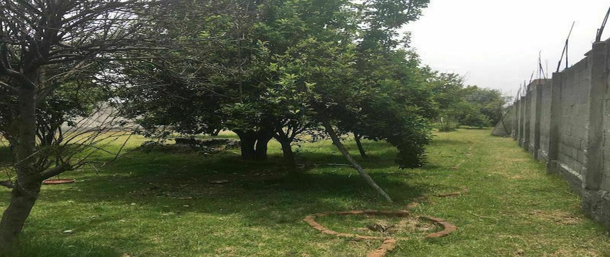 Foto de terreno habitacional en venta en francisco i. madero 57delegación santa maría totoltepec50200 toluca de lerdoméx. , santa maría totoltepec, toluca, méxico, 21133148 No. 03