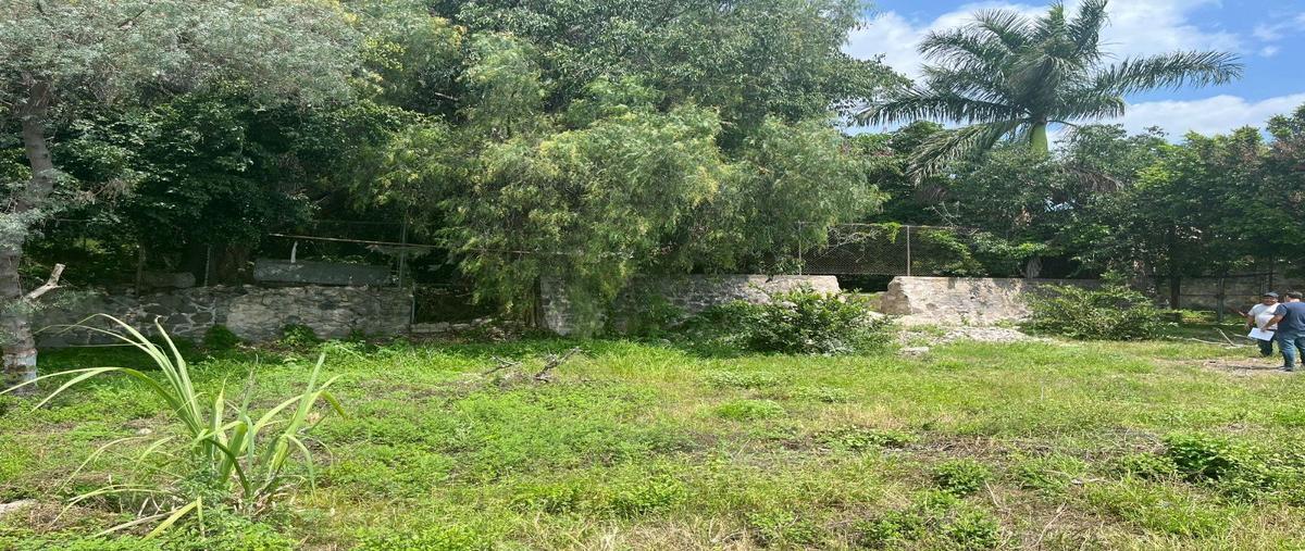 Foto de terreno habitacional en venta en francisco i. madero , ajijic centro, chapala, jalisco, 0 No. 03