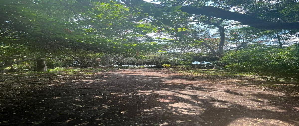 Foto de terreno habitacional en venta en francisco i. madero , ajijic centro, chapala, jalisco, 0 No. 05