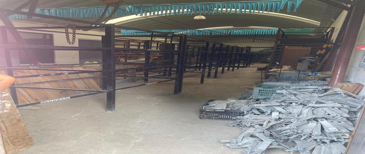 Foto de bodega en venta en  , francisco i madero, altamira, tamaulipas, 19755558 No. 04