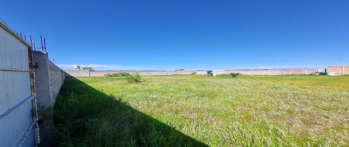 Foto de rancho en francisco i madero , labor de guadalupe, durango, durango, 0 foto 08 Foto de rancho en venta en francisco i madero , labor de guadalupe, durango, durango, 0 No. 08