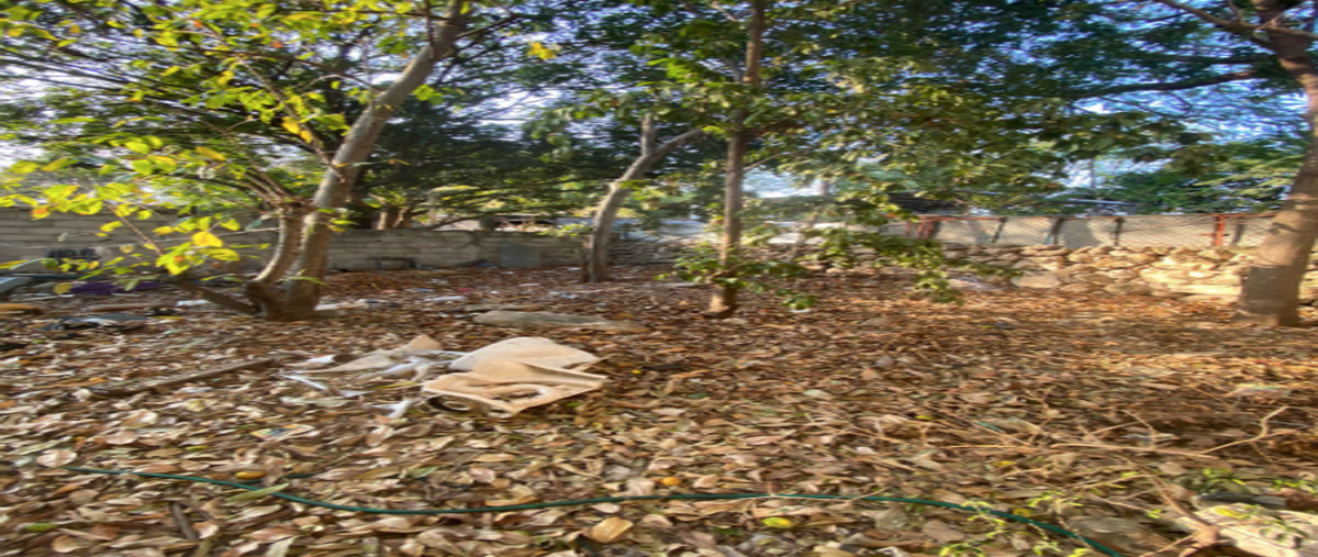 Foto de terreno habitacional en venta en  , francisco i madero, mérida, yucatán, 27827299 No. 04