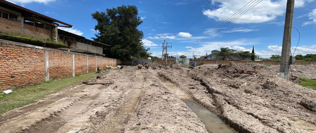 Foto de terreno comercial en venta en francisco i madero , san jose del quince, el salto, jalisco, 30454926 No. 04