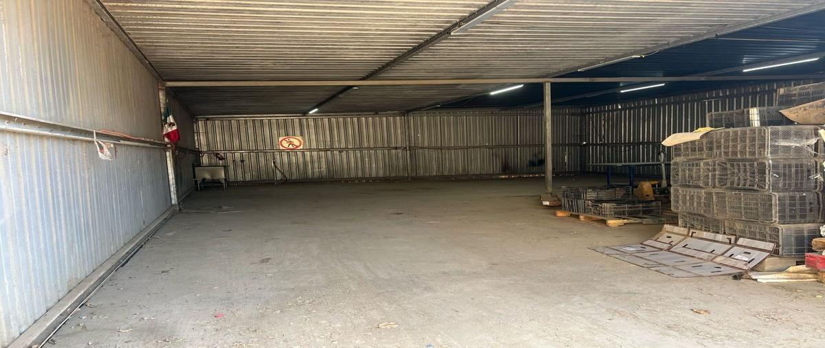 Foto de bodega en renta en francisco i. madero , santa isabel (cañón san carlos), ensenada, baja california, 29462412 No. 04