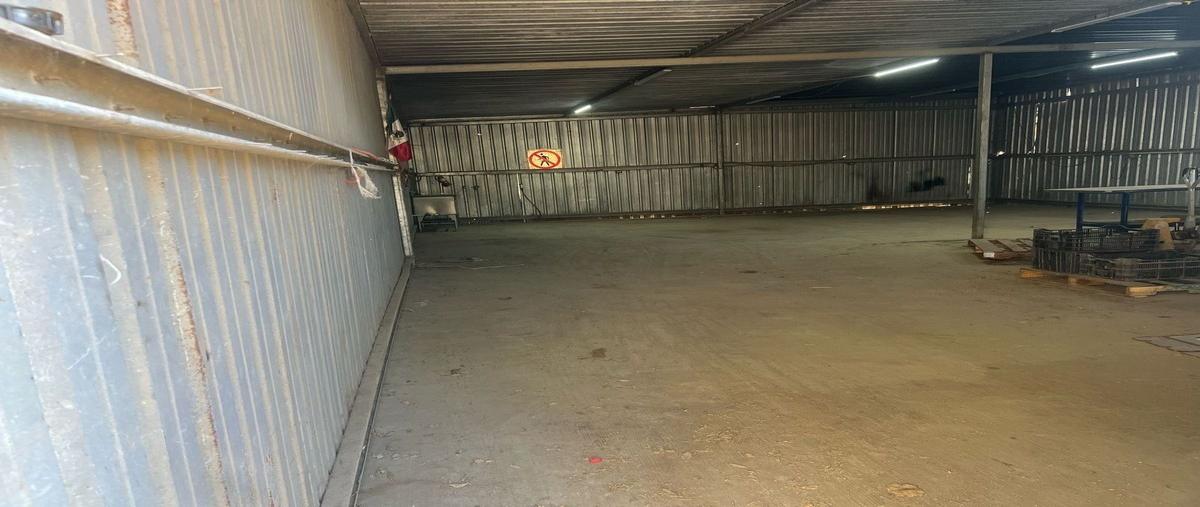 Foto de bodega en renta en francisco i. madero , santa isabel (cañón san carlos), ensenada, baja california, 29462412 No. 05