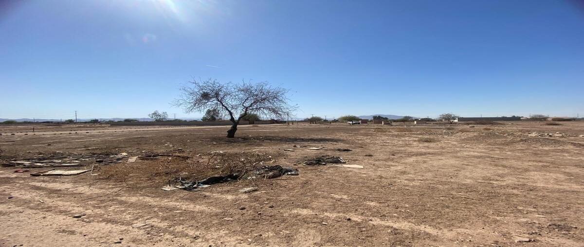 Foto de terreno habitacional en venta en francisco javier inama , huertas de la progreso, mexicali, baja california, 0 No. 05