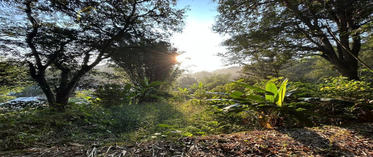 Foto de terreno habitacional en venta en  , francisco javier mina, coatepec, veracruz de ignacio de la llave, 30853082 No. 04