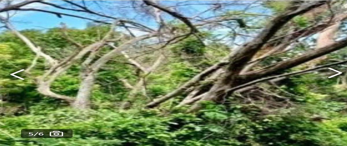 Foto de terreno habitacional en venta en francisco javier mina , gabriel tepepa, tlaquiltenango, morelos, 0 No. 06