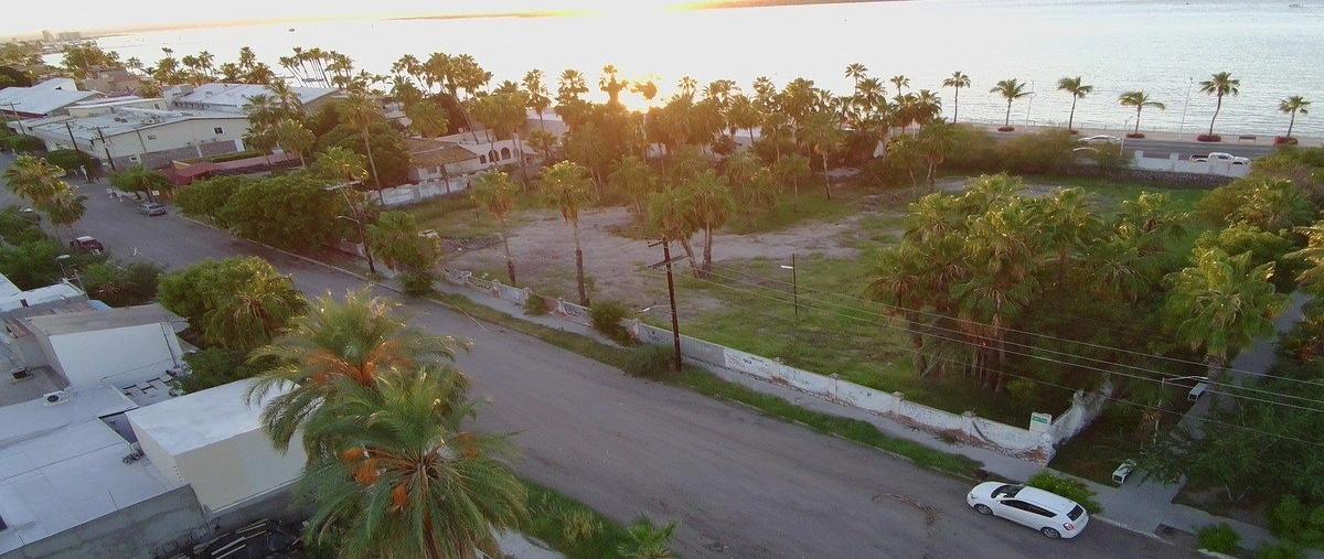 Foto de terreno habitacional en venta en francisco king rondero , esterito, la paz, baja california sur, 0 No. 05