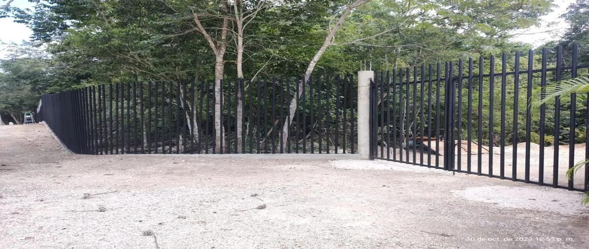 Foto de terreno habitacional en venta en  , francisco may, felipe carrillo puerto, quintana roo, 0 No. 03