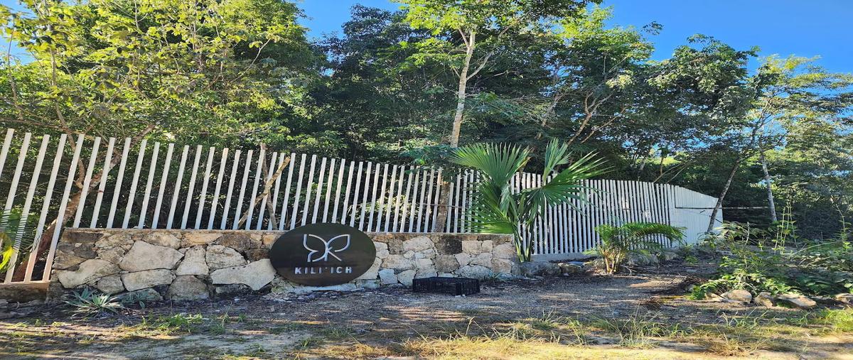 Foto de terreno habitacional en venta en  , francisco may, felipe carrillo puerto, quintana roo, 0 No. 04