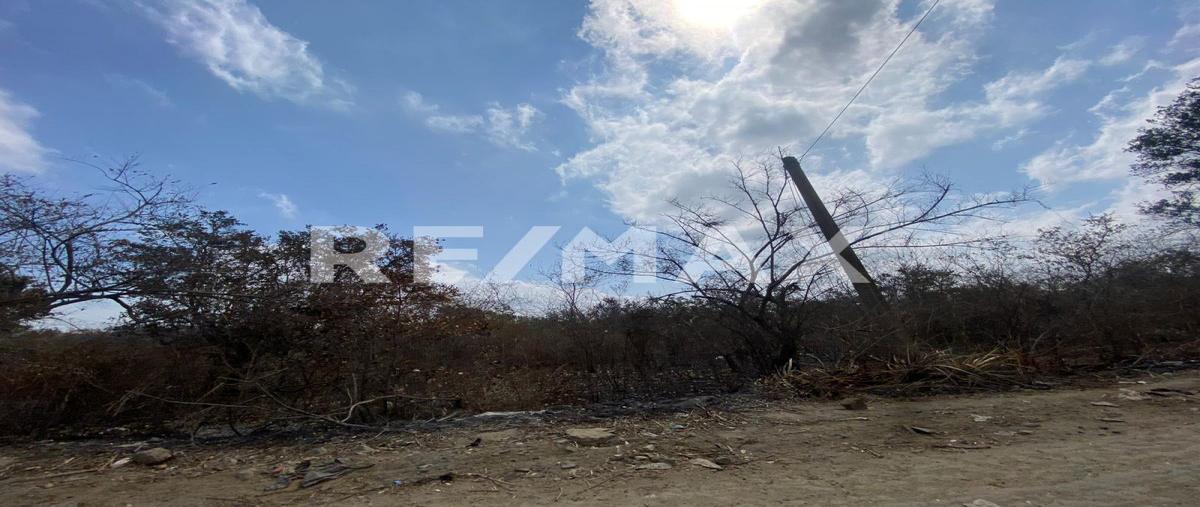 Foto de terreno habitacional en francisco medrano , altamira, altamira, tamaulipas, 0 foto 02 Foto de terreno habitacional en renta en francisco medrano , altamira, altamira, tamaulipas, 0 No. 02