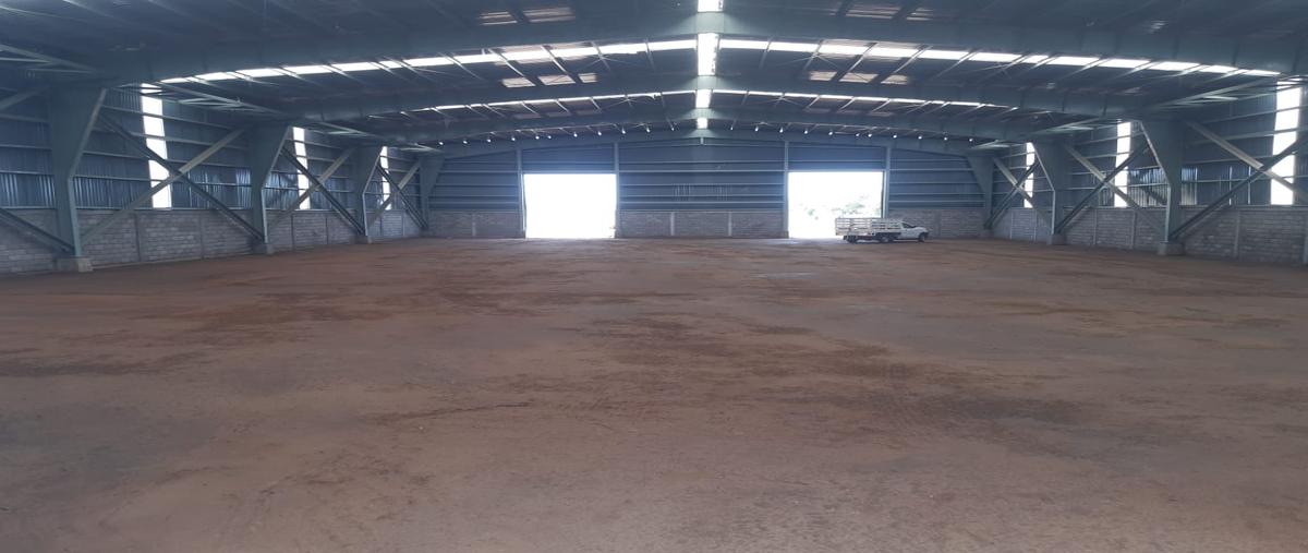 Foto de bodega en francisco medrano , francisco medrano, altamira, tamaulipas, 28174084 foto 03 Foto de bodega en renta en francisco medrano , francisco medrano, altamira, tamaulipas, 28174084 No. 03