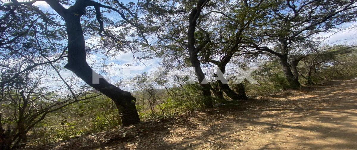 Foto de terreno habitacional en francisco medrano , villas de altamira, altamira, tamaulipas, 0 foto 01 Foto de terreno habitacional en venta en francisco medrano , villas de altamira, altamira, tamaulipas, 0 No. 01