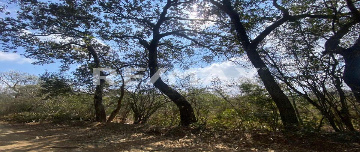 Foto de terreno habitacional en francisco medrano , villas de altamira, altamira, tamaulipas, 0 foto 02 Foto de terreno habitacional en venta en francisco medrano , villas de altamira, altamira, tamaulipas, 0 No. 02