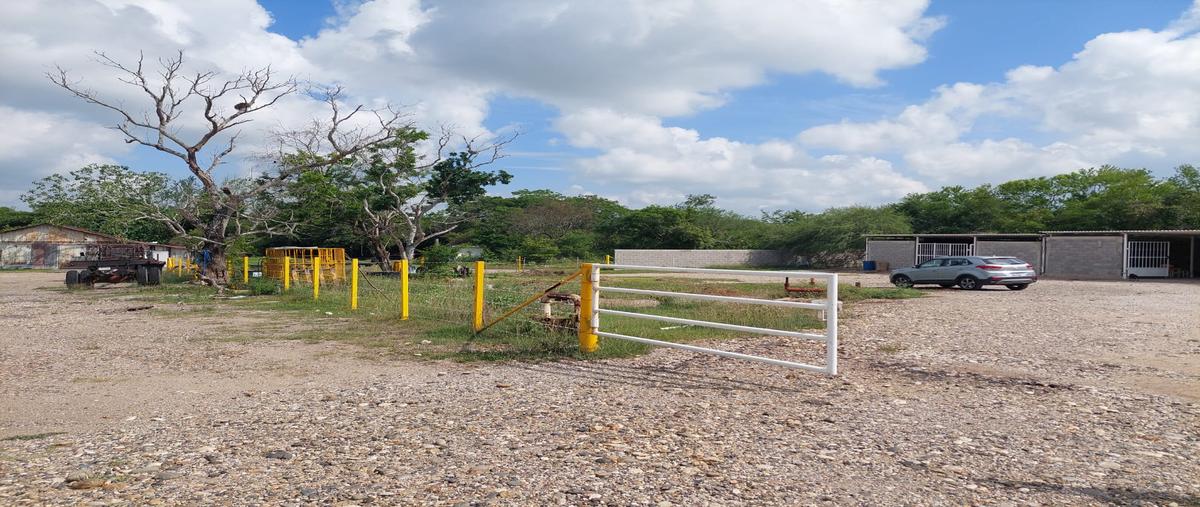 Foto de terreno industrial en renta en francisco mendoza , villa cacalilao dos, pánuco, veracruz de ignacio de la llave, 28174685 No. 03