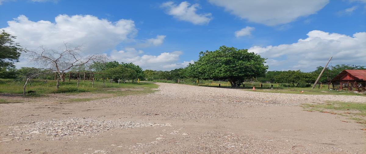 Foto de terreno industrial en renta en francisco mendoza , villa cacalilao dos, pánuco, veracruz de ignacio de la llave, 28174685 No. 04