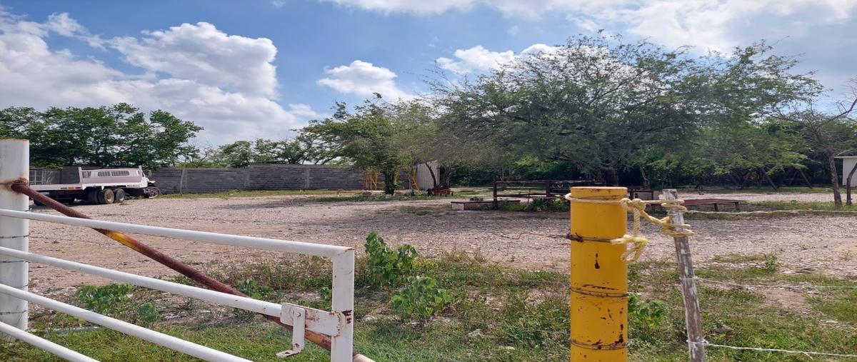 Foto de terreno industrial en renta en francisco mendoza , villa cacalilao dos, pánuco, veracruz de ignacio de la llave, 28174685 No. 05