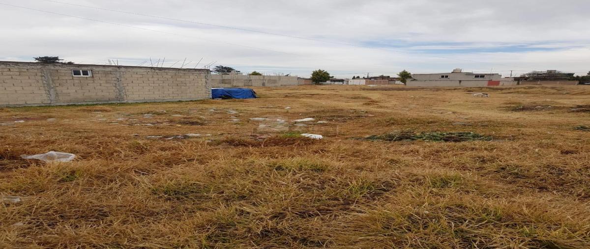 Foto de terreno habitacional en venta en francisco primo de verdad 1002, san pablo autopan, toluca, méxico, 29302235 No. 03
