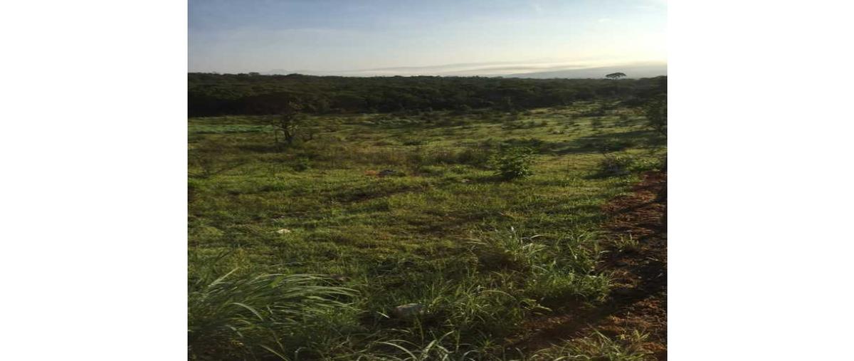 Foto de rancho en , francisco sarabia, chiapa de corzo, chiapas, 0 foto 05 Foto de rancho en venta en , francisco sarabia, chiapa de corzo, chiapas, 0 No. 05