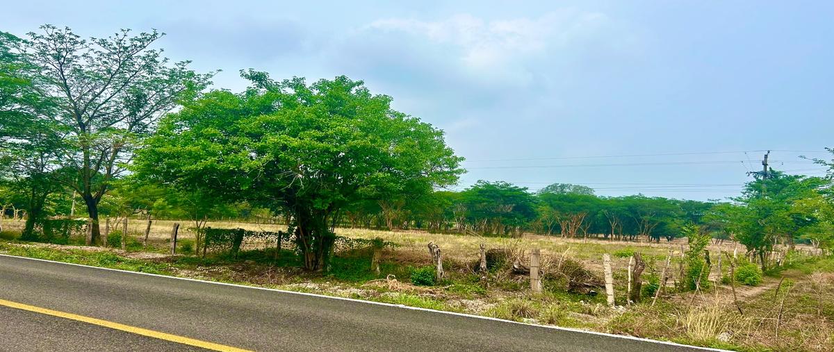 Foto de rancho en venta en francisco sarabia whi309196, francisco sarabia, chiapa de corzo, chiapas, 0 No. 04
