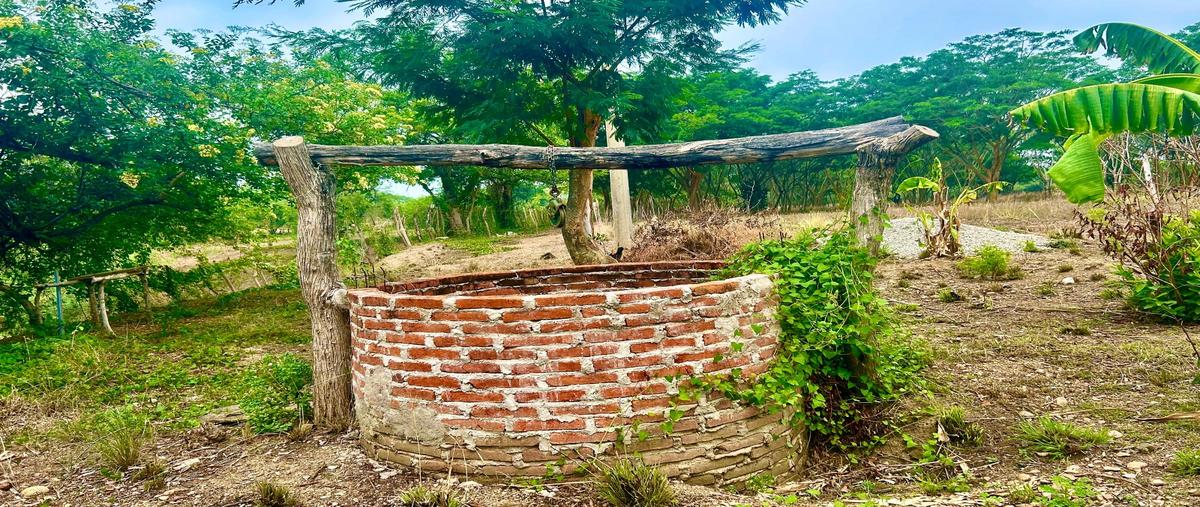 Foto de rancho en venta en francisco sarabia whi309196, francisco sarabia, chiapa de corzo, chiapas, 0 No. 05