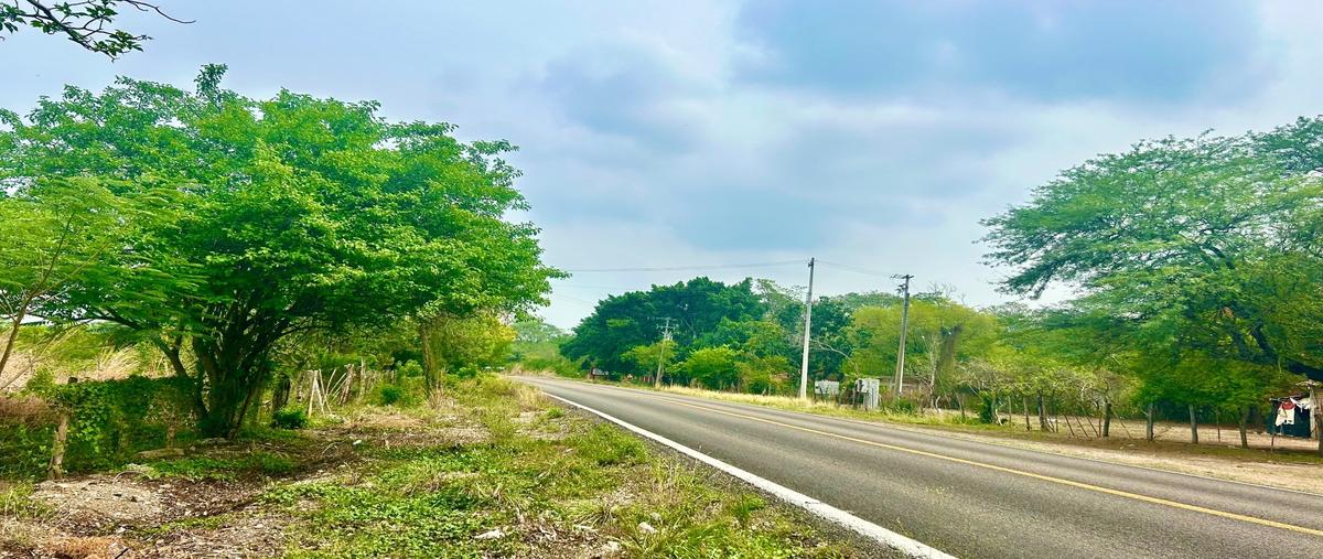 Foto de rancho en venta en francisco sarabia whi309196, francisco sarabia, chiapa de corzo, chiapas, 0 No. 03