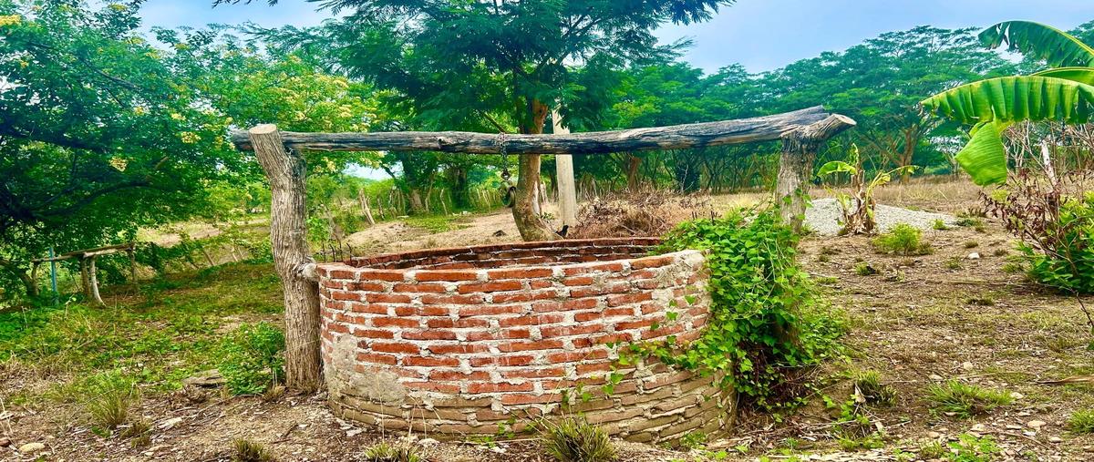 Foto de rancho en venta en francisco sarabia whi309196, francisco sarabia, chiapa de corzo, chiapas, 0 No. 05