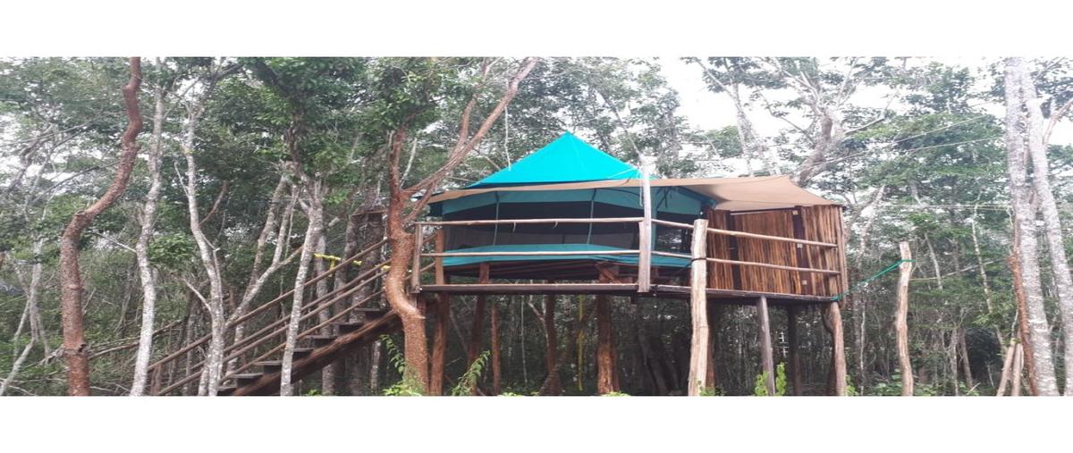 Foto de terreno habitacional en venta en  , francisco uh-may, tulum, quintana roo, 10764956 No. 03