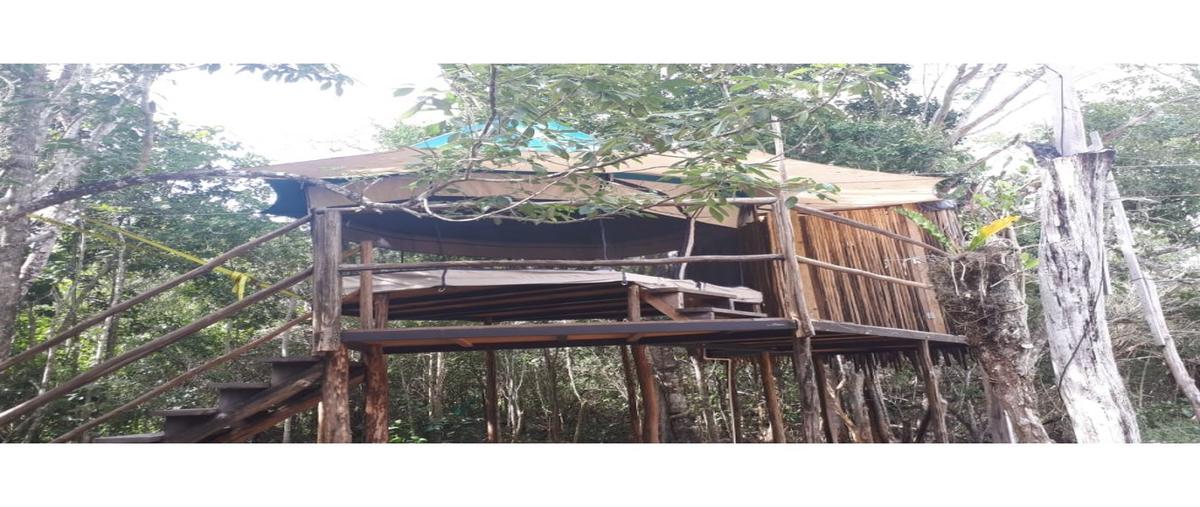 Foto de terreno habitacional en venta en  , francisco uh-may, tulum, quintana roo, 10764956 No. 04