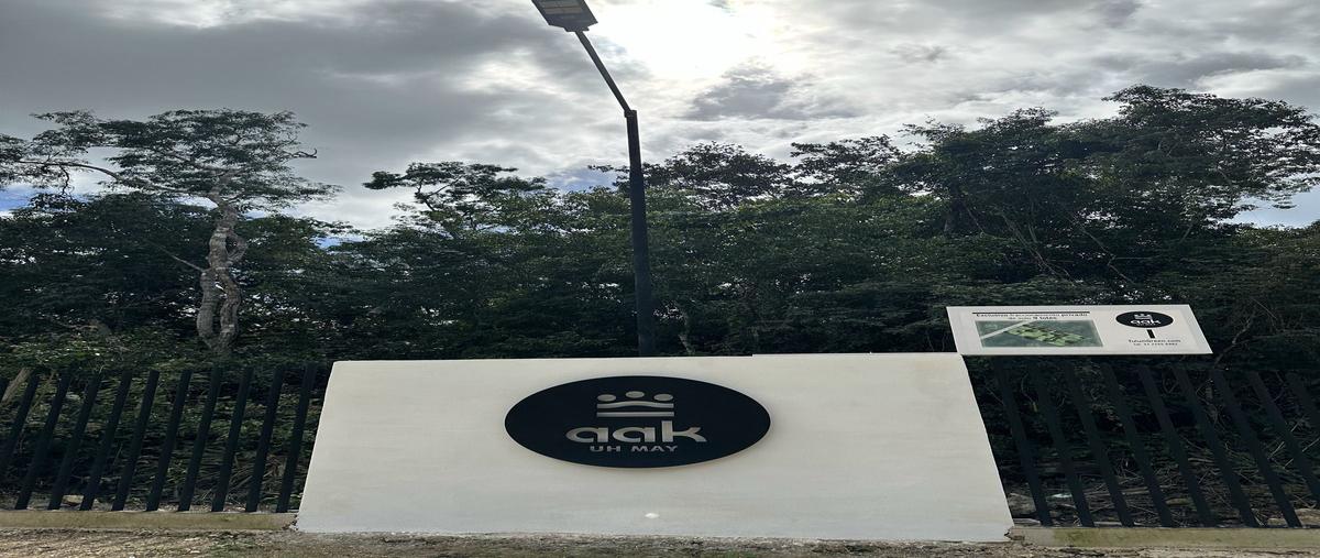 Foto de terreno habitacional en venta en  , francisco uh-may, tulum, quintana roo, 28265872 No. 03