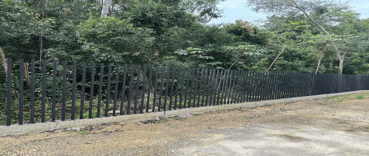 Foto de terreno habitacional en venta en  , francisco uh-may, tulum, quintana roo, 28265872 No. 04