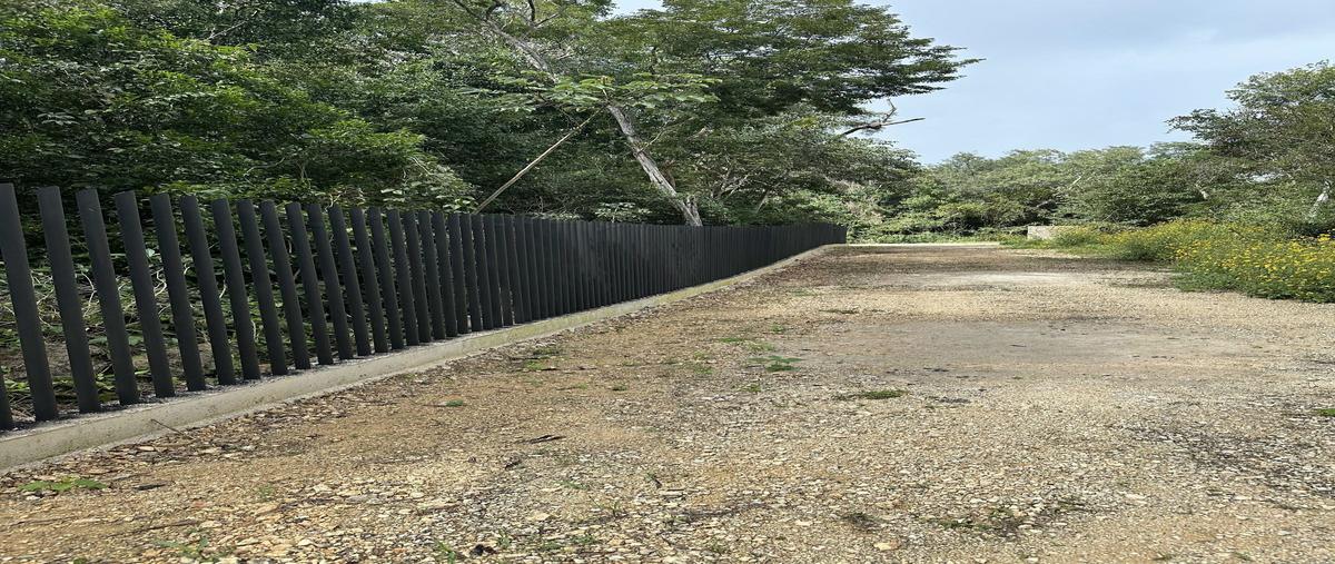 Foto de terreno habitacional en venta en  , francisco uh-may, tulum, quintana roo, 28265873 No. 03