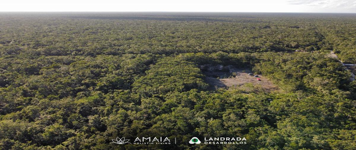Foto de terreno habitacional en , francisco uh-may, tulum, quintana roo, 0 foto 01 Foto de terreno habitacional en venta en , francisco uh-may, tulum, quintana roo, 0 No. 01