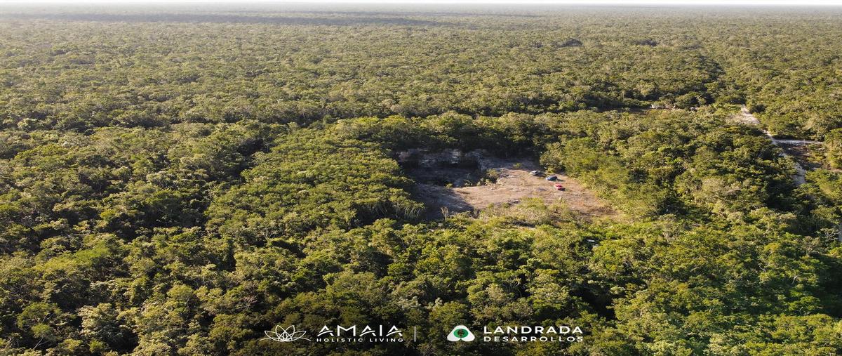 Foto de terreno habitacional en , francisco uh-may, tulum, quintana roo, 0 foto 03 Foto de terreno habitacional en venta en , francisco uh-may, tulum, quintana roo, 0 No. 03