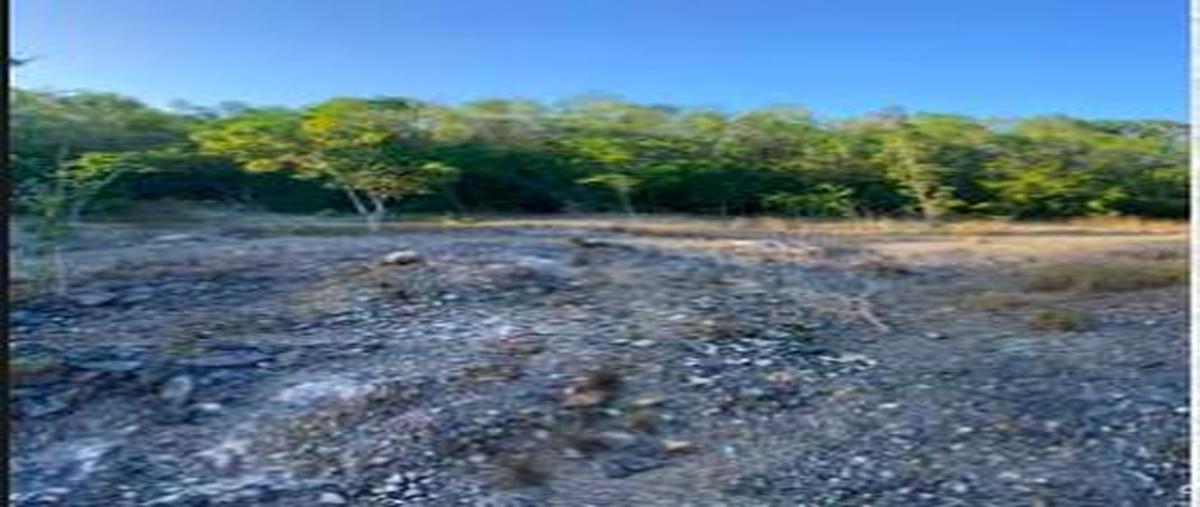 Foto de terreno habitacional en , francisco uh-may, tulum, quintana roo, 0 foto 05 Foto de terreno habitacional en venta en , francisco uh-may, tulum, quintana roo, 0 No. 05