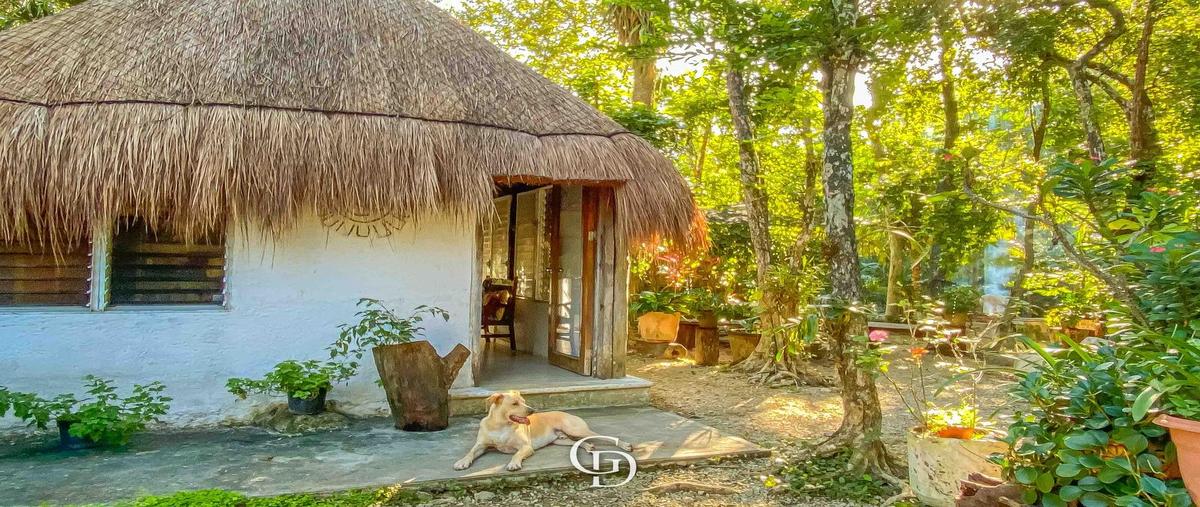 Foto de terreno habitacional en venta en  , francisco uh-may, tulum, quintana roo, 30346448 No. 03