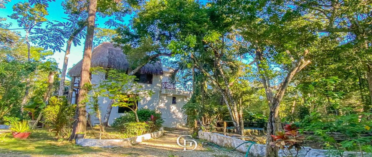 Foto de terreno habitacional en venta en  , francisco uh-may, tulum, quintana roo, 30346448 No. 04