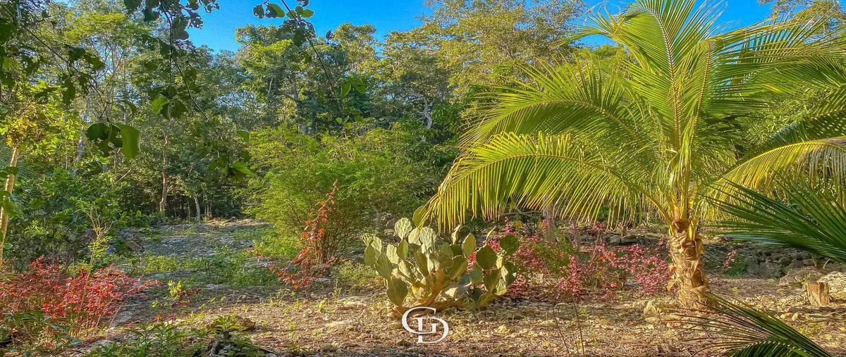 Foto de terreno habitacional en venta en  , francisco uh-may, tulum, quintana roo, 30346448 No. 05
